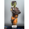 Hot Toys Star Wars Ahsoka - HERA SYNDULLA 1/6