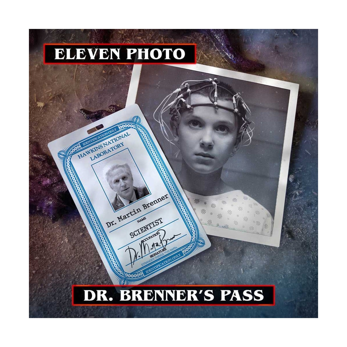 Doctor Collector - Stranger Things Hawkins Memories Kit Vecna's Course Edición Limitada