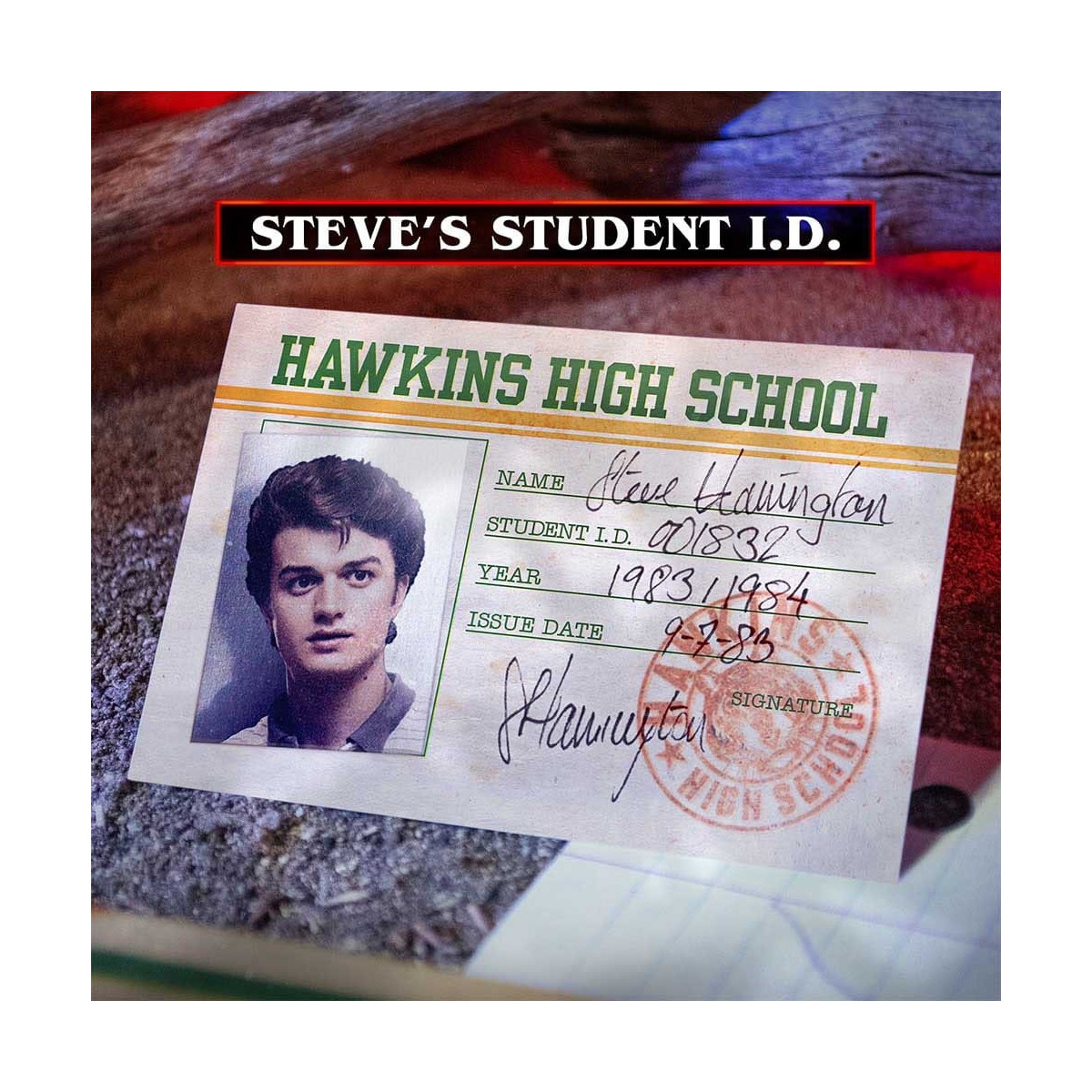 Doctor Collector - Stranger Things Hawkins Memories Kit Vecna's Course Edición Limitada