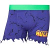 Marvel Boxer Hulk Logo