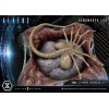 Prime 1 Studio - Aliens Premium Masterline Series Estatuilla Xenomorph Egg Open Version - Ovomorph