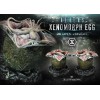 Prime 1 Studio - Aliens Premium Masterline Series Estatuilla Xenomorph Egg Open Version - Ovomorph