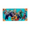 SD Toys - Dragonball Z "Heroes" póster de cristal