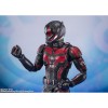 Bandai Tamashii Marvel - ANT-MAN - Ant-Man y la Avispa Quantumania - S.H.Figuarts