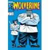 Marvel Legends - Patch & Joe Fixit - Lobezno 50 Aniversario