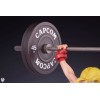 PCS - Street Fighter - Cammy: Powerlifting 1/4