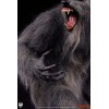 Premium Collectibles Studio PCS - THE HOWLING Epic Series 1/3 - Aullidos