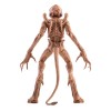 Syndicate Collectibles - Pumpkinhead: El Demonio de Halloween 1/12