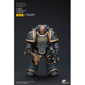 JoyToy Space Marines - Space Wolves - Grey Slayer Pack - Grey Slayer 3 1/18 - La Herejía de Horus