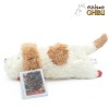 Peluche Maison Ghibli Hin - El castillo ambulante