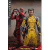 Hot Toys Marvel Deadpool & Wolverine - Deadpool Edición Coleccionista MMS 1/6 