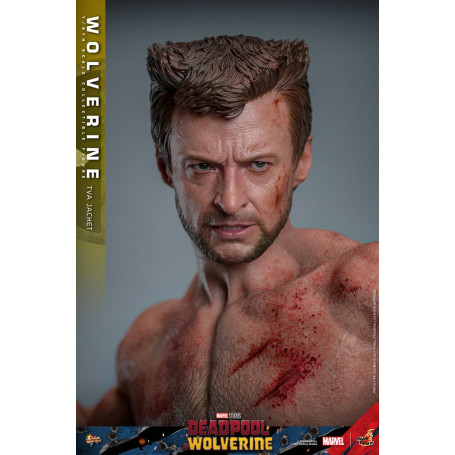 Hot Toys Marvel Deadpool & Wolverine - Wolverine TVA Jacket Version MMS 1/6
