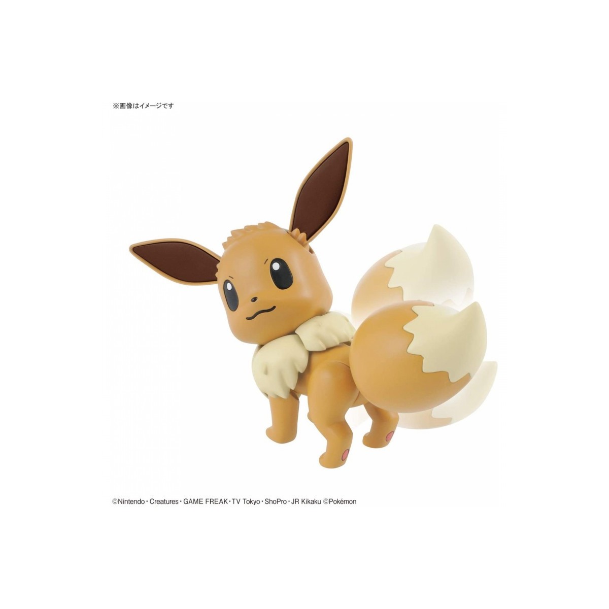 Bandai - Pokepla 42 - EVOLI Model Kit Pokemon Select Series - Eevee - Libiu