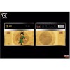 Cartoon Kingdom - Pack de 7 Hunter X Hunter Coll.1 Golden Tickets