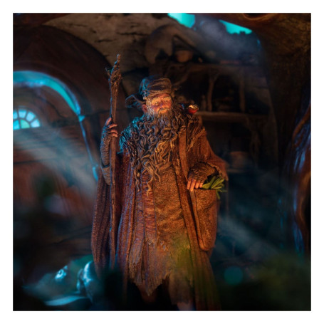 Weta - Radagast en Rhosgobel Edición Limitada - El Señor de los Anillos estatuilla 1/6