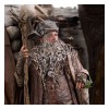 Weta - Radagast en Rhosgobel Edición Limitada - El Señor de los Anillos estatuilla 1/6