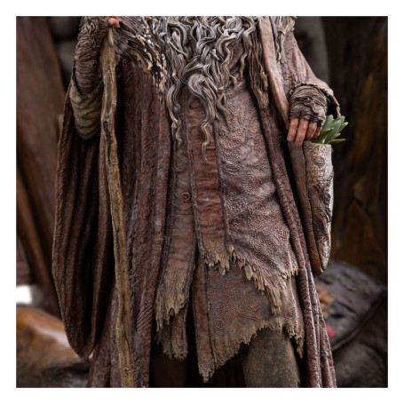 Weta - Radagast en Rhosgobel Edición Limitada - El Señor de los Anillos estatuilla 1/6