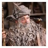 Weta - Radagast en Rhosgobel Edición Limitada - El Señor de los Anillos estatuilla 1/6