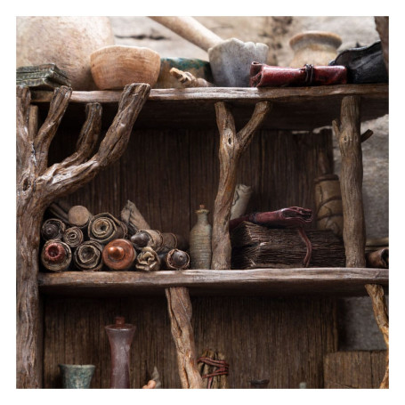 Weta - Radagast en Rhosgobel Edición Limitada - El Señor de los Anillos estatuilla 1/6