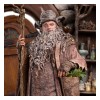 Weta - Radagast en Rhosgobel Edición Limitada - El Señor de los Anillos estatuilla 1/6