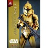 Hot toys Star Wars - Clone Trooper Gold Chrome Version 1/6 Toy Fair Exclusive