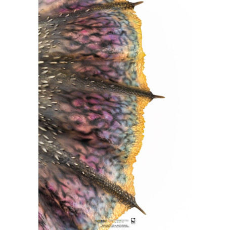 Pure Arts - Monster Hunter World - Nergigante 1/26