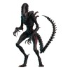 Hot Toys - Alien Romulus - Xenomorfo abrasado MMS 1/6
