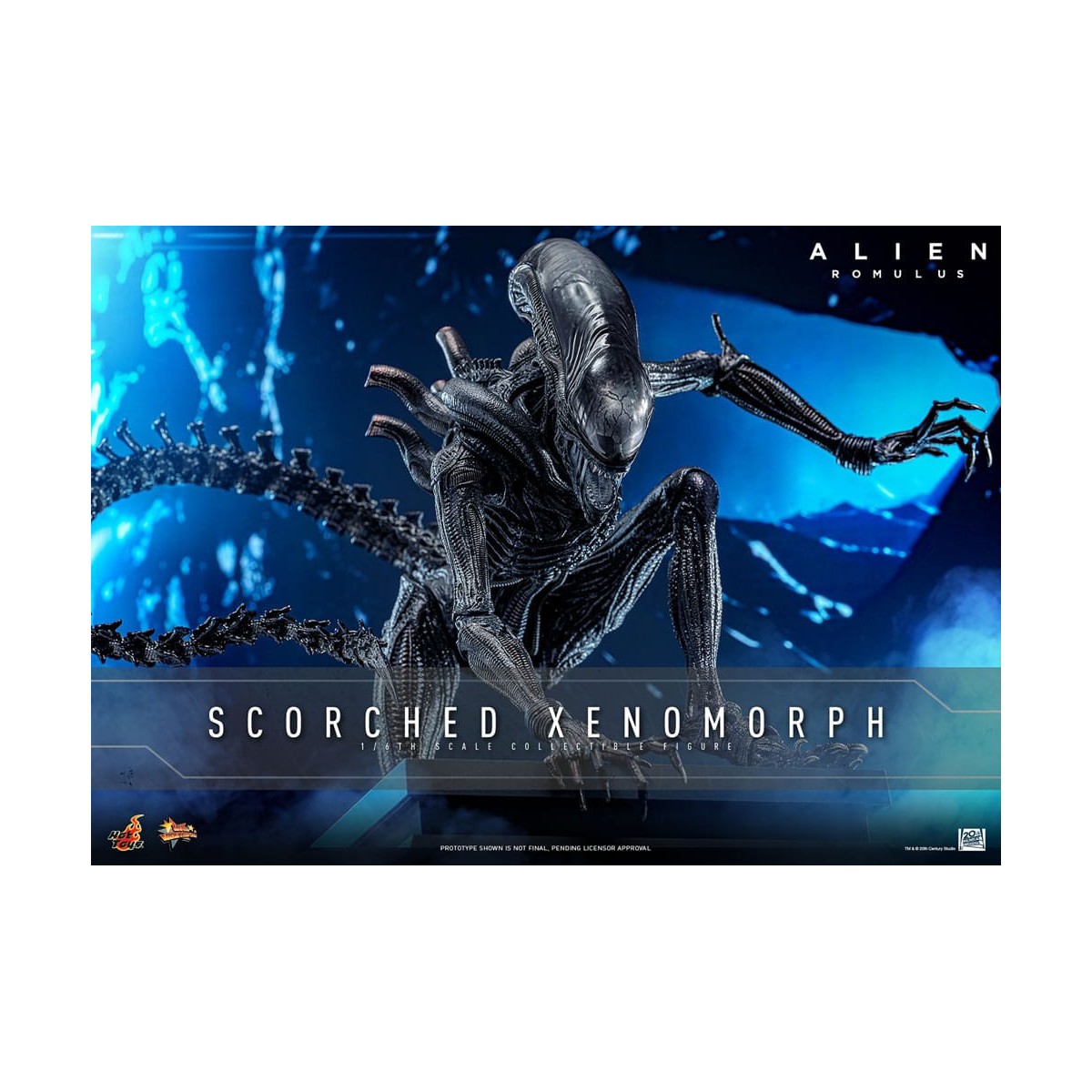 Hot Toys - Alien Romulus - Xenomorfo abrasado MMS 1/6