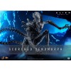 Hot Toys - Alien Romulus - Xenomorfo abrasado MMS 1/6