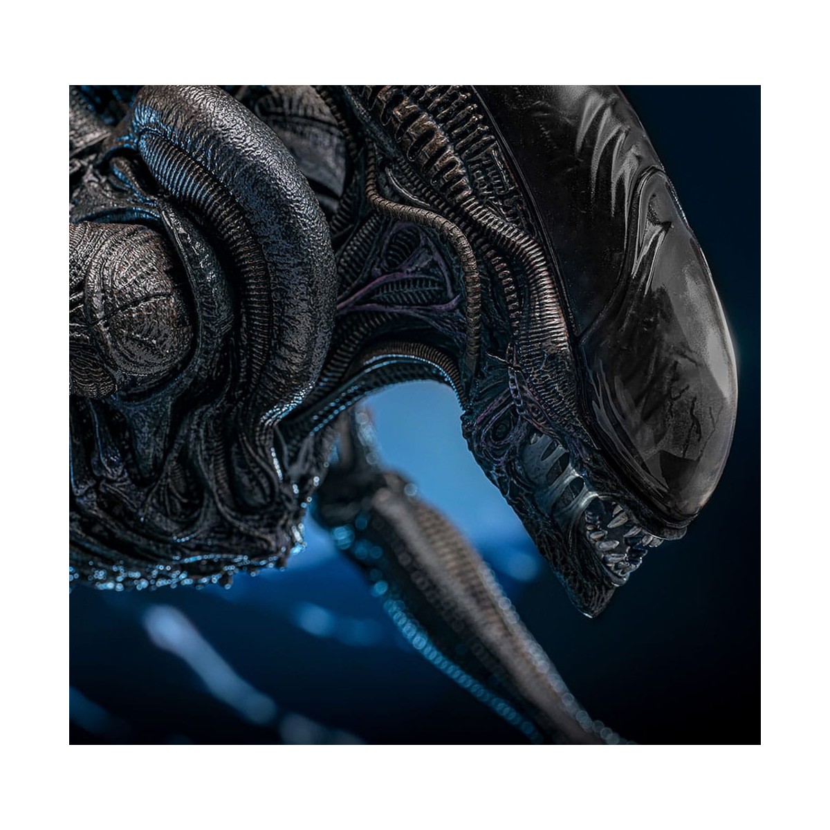 Hot Toys - Alien Romulus - Xenomorfo abrasado MMS 1/6