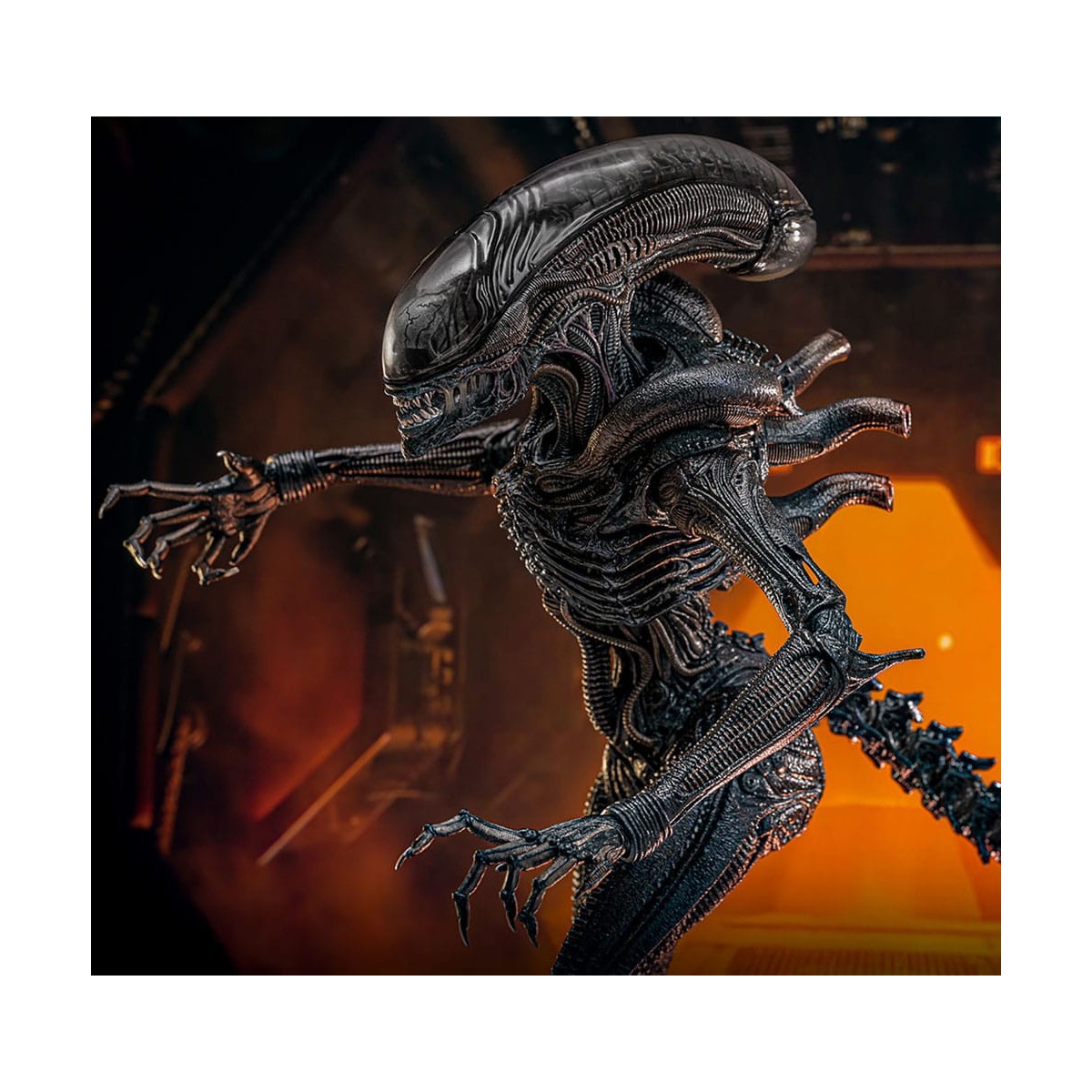 Hot Toys - Alien Romulus - Xenomorfo abrasado MMS 1/6