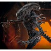 Hot Toys - Alien Romulus - Xenomorfo abrasado MMS 1/6
