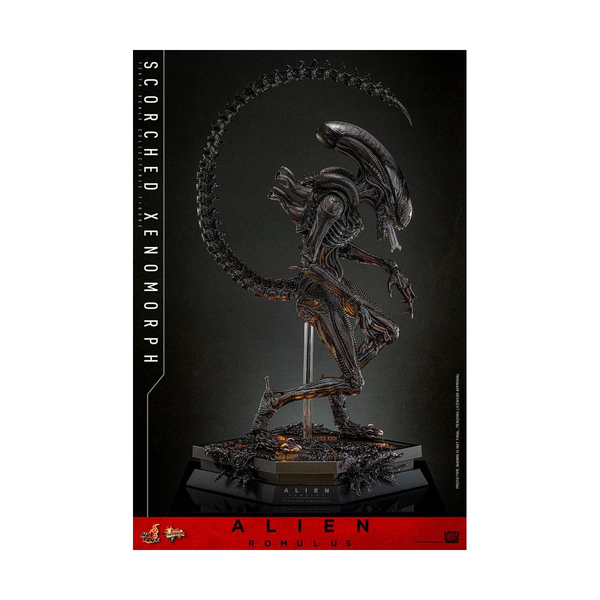 Hot Toys - Alien Romulus - Xenomorfo abrasado MMS 1/6