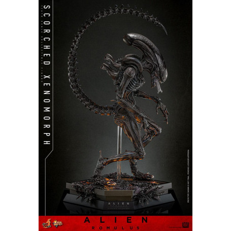 Hot Toys - Alien Romulus - Xenomorfo abrasado MMS 1/6