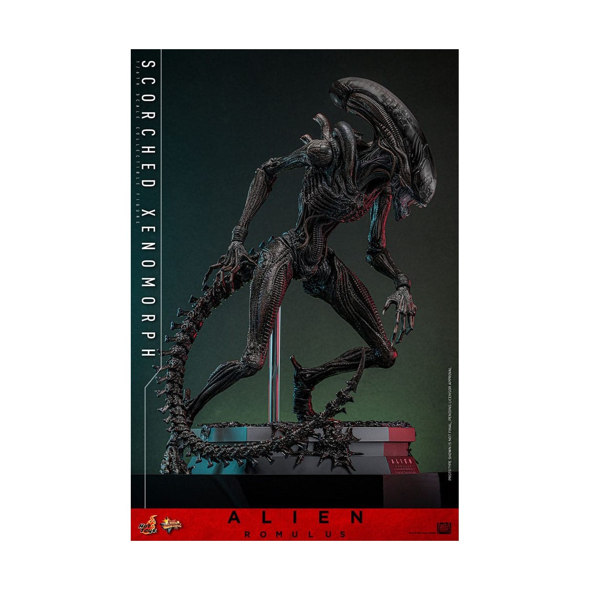 Hot Toys - Alien Romulus - Xenomorfo abrasado MMS 1/6