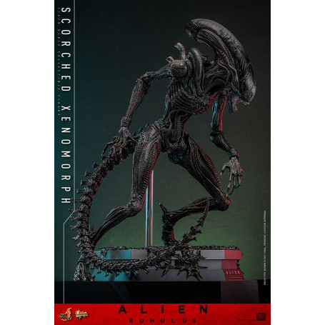 Hot Toys - Alien Romulus - Xenomorfo abrasado MMS 1/6