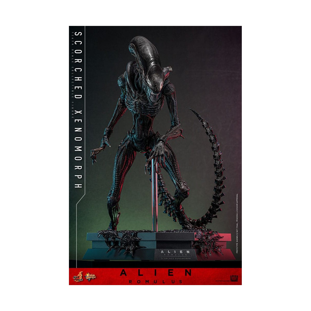 Hot Toys - Alien Romulus - Xenomorfo abrasado MMS 1/6