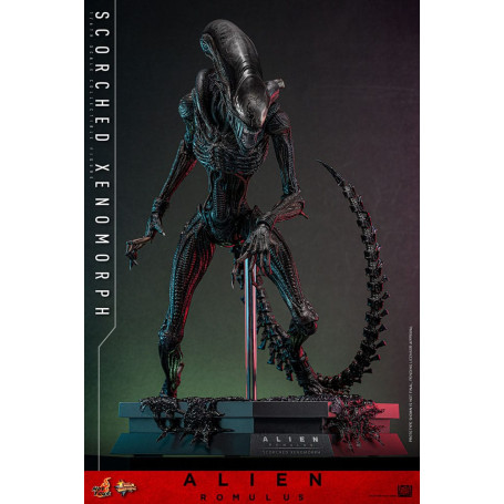 Hot Toys - Alien Romulus - Xenomorfo abrasado MMS 1/6