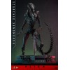 Hot Toys - Alien Romulus - Xenomorfo abrasado MMS 1/6