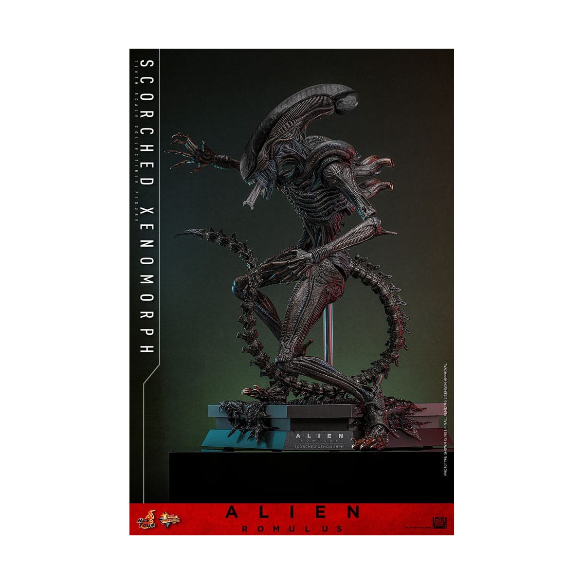 Hot Toys - Alien Romulus - Xenomorfo abrasado MMS 1/6