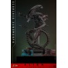 Hot Toys - Alien Romulus - Xenomorfo abrasado MMS 1/6