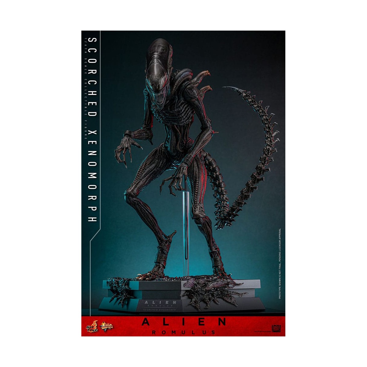 Hot Toys - Alien Romulus - Xenomorfo abrasado MMS 1/6