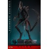 Hot Toys - Alien Romulus - Xenomorfo abrasado MMS 1/6