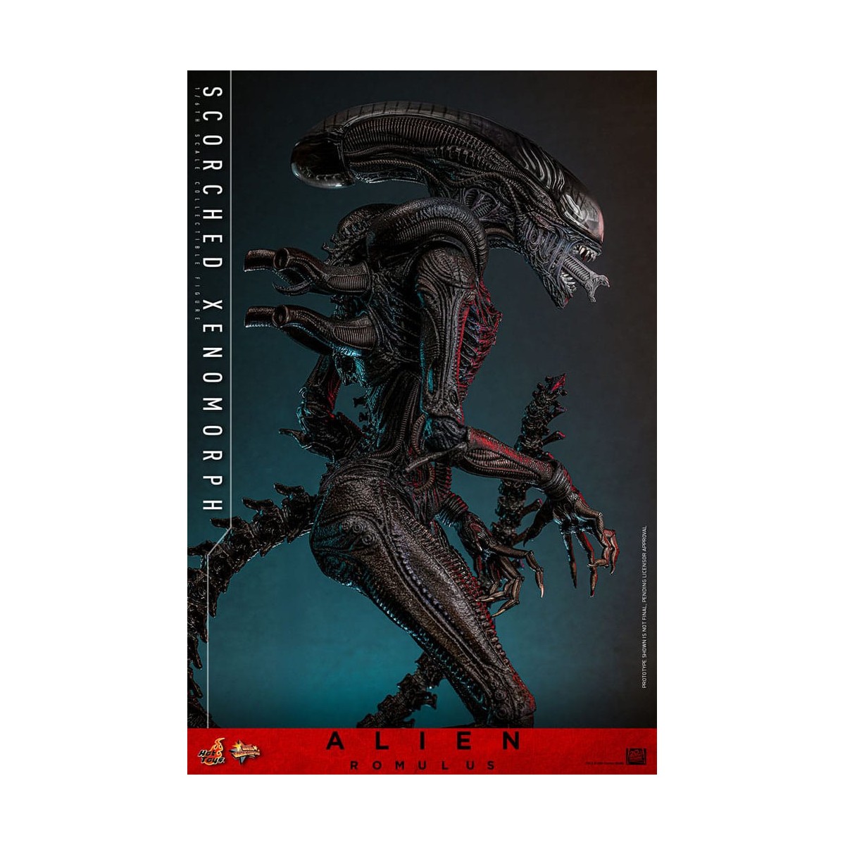 Hot Toys - Alien Romulus - Xenomorfo abrasado MMS 1/6