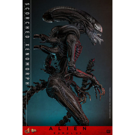 Hot Toys - Alien Romulus - Xenomorfo abrasado MMS 1/6