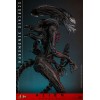 Hot Toys - Alien Romulus - Xenomorfo abrasado MMS 1/6