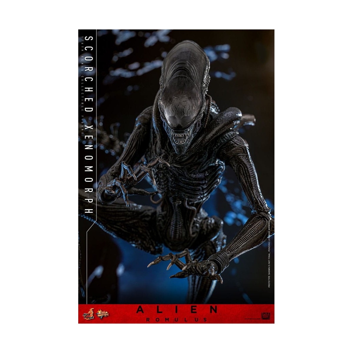 Hot Toys - Alien Romulus - Xenomorfo abrasado MMS 1/6