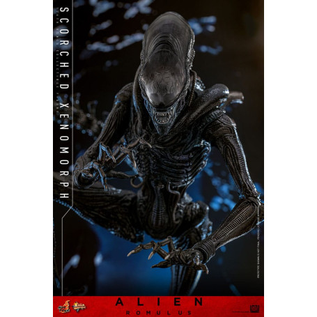 Hot Toys - Alien Romulus - Xenomorfo abrasado MMS 1/6