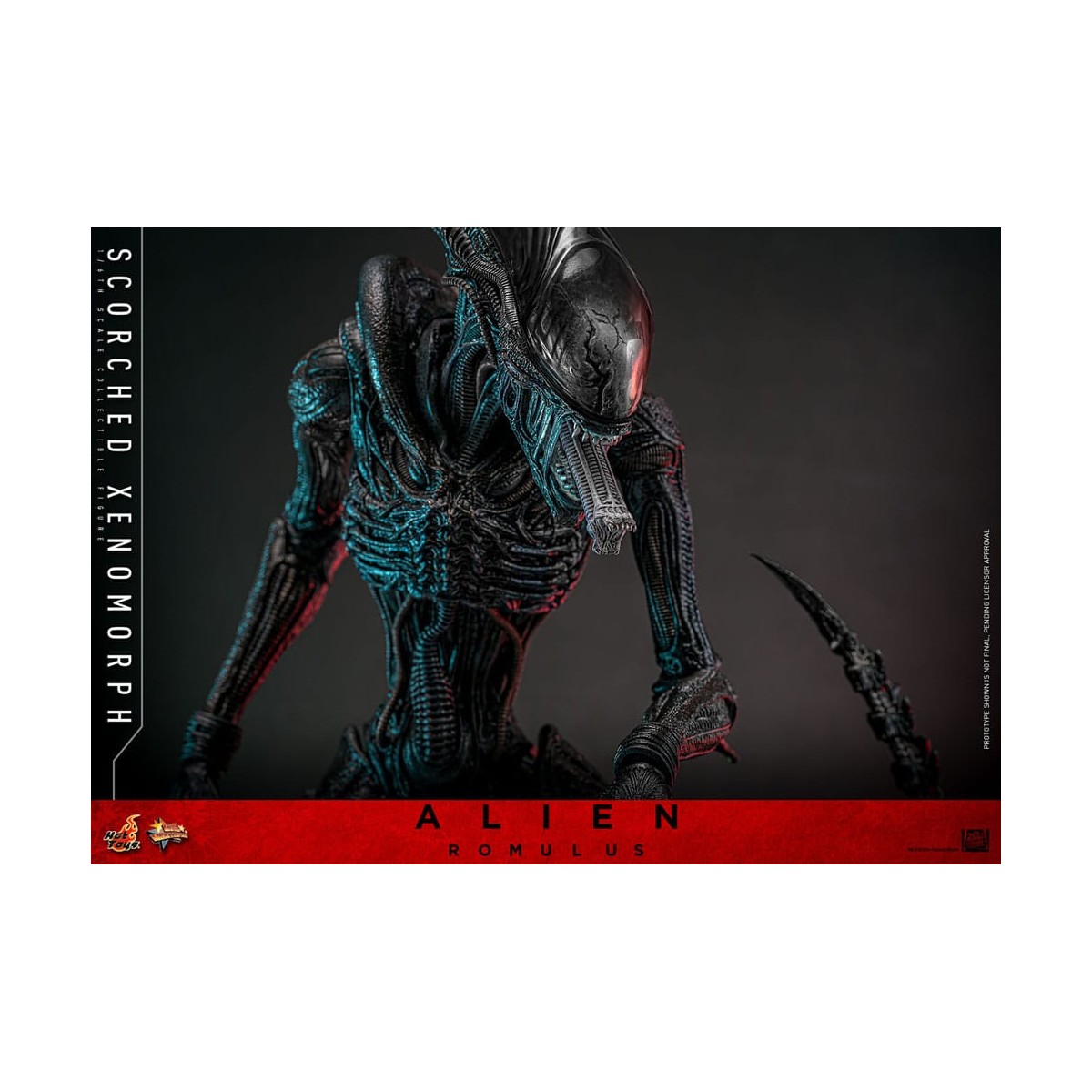 Hot Toys - Alien Romulus - Xenomorfo abrasado MMS 1/6