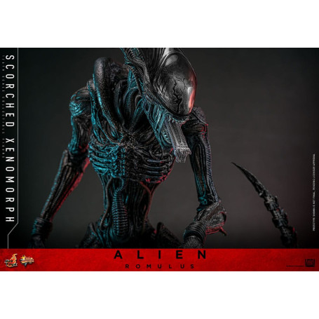 Hot Toys - Alien Romulus - Xenomorfo abrasado MMS 1/6